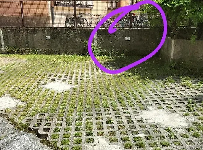 Franz Wi-fi Ac 1 Free Parking 아파트